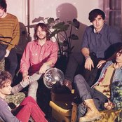 Polock - List pictures