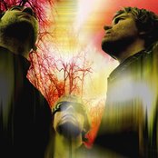 Archive - List pictures