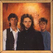 Icicle Works - List pictures