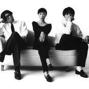 Pizzicato Five - List pictures