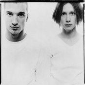 Lamb - List pictures