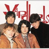 Yardbirds - List pictures