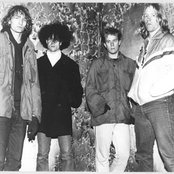 Die Kreuzen - List pictures