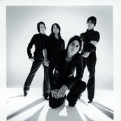 Elefant - List pictures