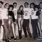 The Shangri-las - List pictures