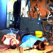 Unicorns - List pictures