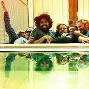 The Phoenix Foundation - List pictures