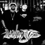 Bionic Jive - List pictures