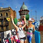 Chicks On Speed - List pictures