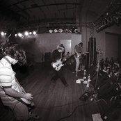 Plankeye - List pictures