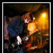 The Whip - List pictures