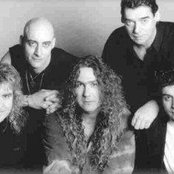 Praying Mantis - List pictures