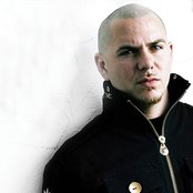 Pitbull - List pictures