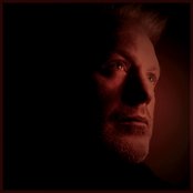 Baby Bird - List pictures