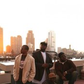 Ahmir - List pictures