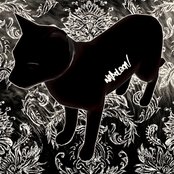 Napoleon - List pictures