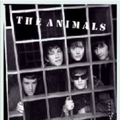 The Animals - List pictures