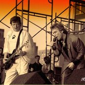 The Animals - List pictures