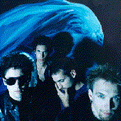 Elefantes - List pictures