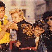 Stray Cats - List pictures