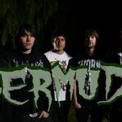 Bermuda - List pictures