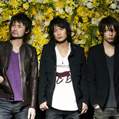 Does - List pictures