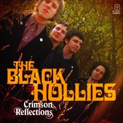 The Black Hollies - List pictures