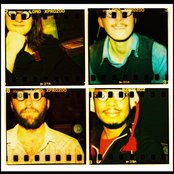 Miniature Tigers - List pictures