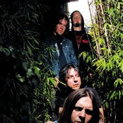 Seether - List pictures