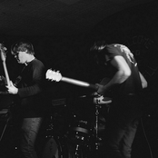 Hookworms - List pictures