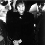 22-pistepirkko - List pictures