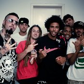 Conecrewdiretoria - List pictures