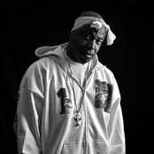 Spice 1 - List pictures