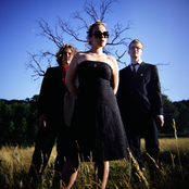 Belleruche - List pictures