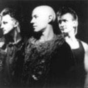 Shriekback - List pictures