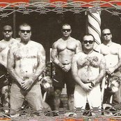 The Voice - List pictures