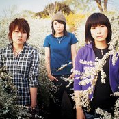 Chat Monchy - List pictures