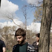 Husky - List pictures