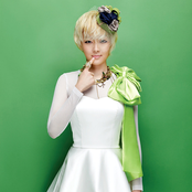 Fat Cat - List pictures