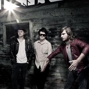 White Apple Tree - List pictures