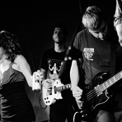 A Giant Dog - List pictures