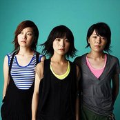 Chat Monchy - List pictures