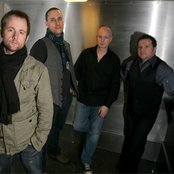 Beecake - List pictures