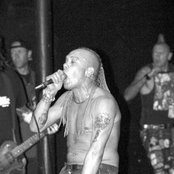 Exploited - List pictures