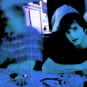 Mimicking Birds - List pictures