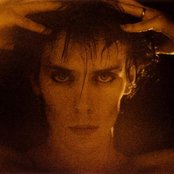Peter Murphy - List pictures