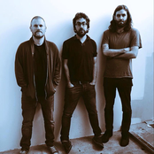 Beak> - List pictures