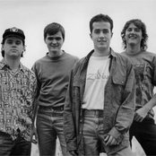 Skank - List pictures