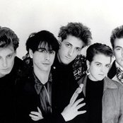 The Woodentops - List pictures