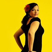 Caro Emerald - List pictures